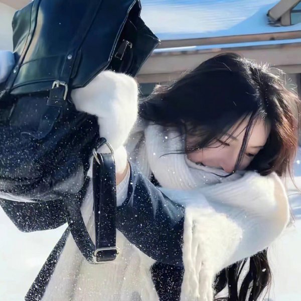 好莱坞以北